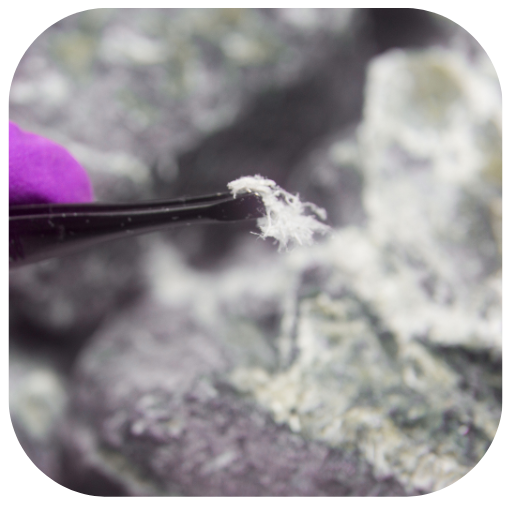 Asbestos survey